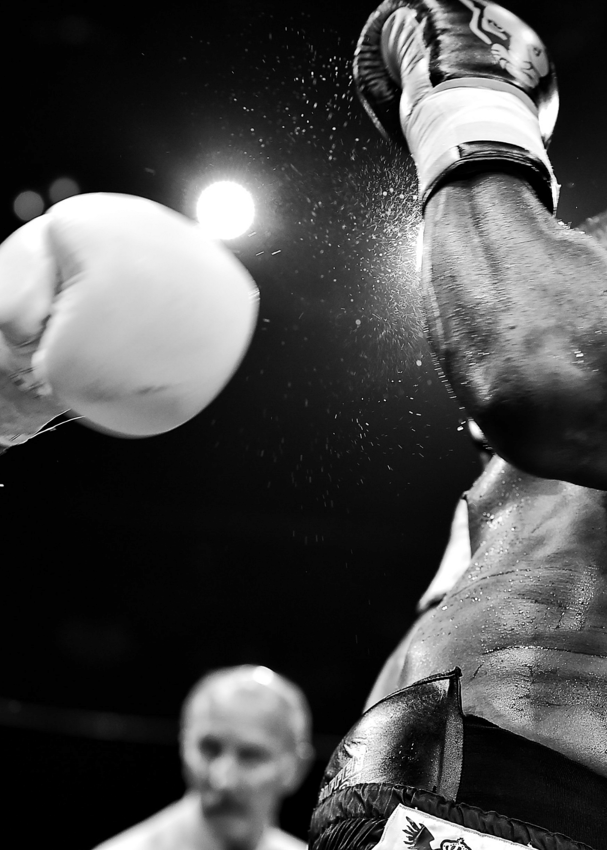 The Best Free Standing Punching Bag for Your Home Workouts