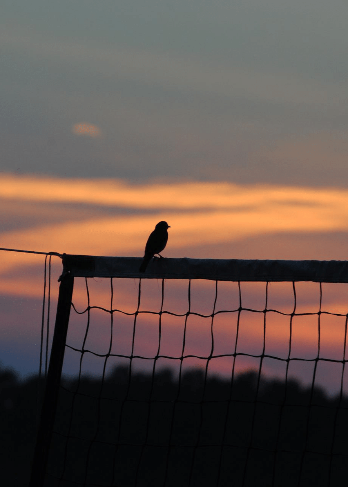 Indoor vs Outdoor Volleyball what are the differences?