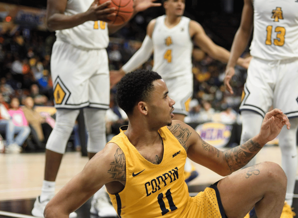 Technical foul visual data 8