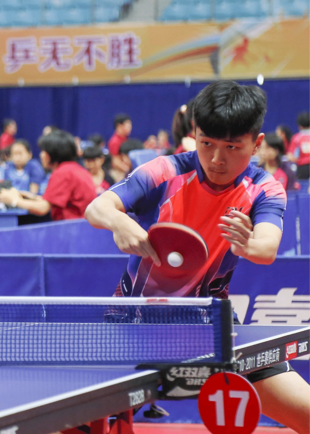 Tips for achieving the perfect Spin in Ping Pong