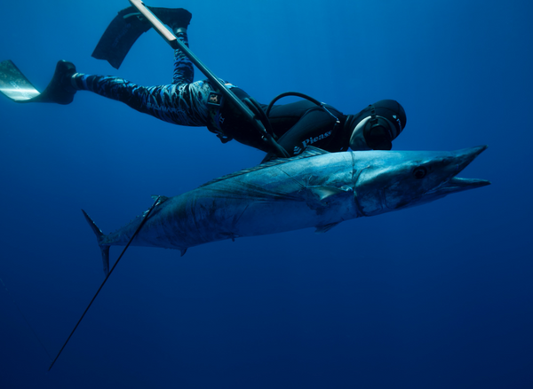 Spearfishing Wetsuit to Dive Deep, Stay Warm, and Stay Safe