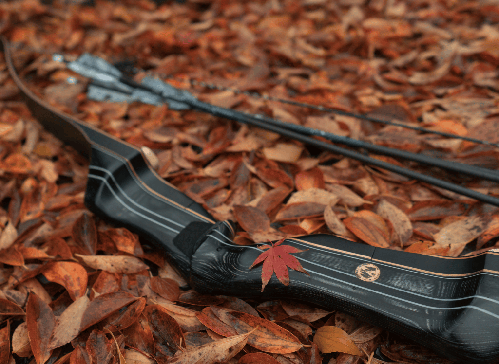 What is a Recurve Bow? Exploring the Basics of Archery